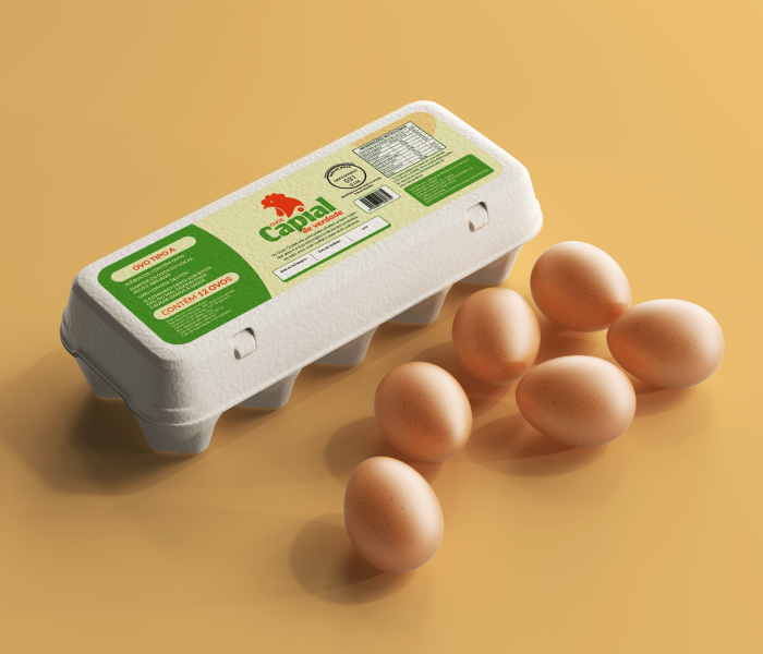 Mockup 12 ovos orig